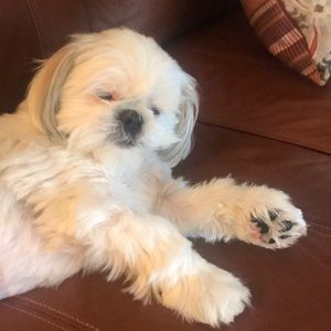 Meet your Posher, Teresa